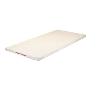 y@lz Goj[ EVERNEW EKM267 X|W}bg6150×600×6 [J[