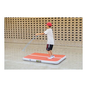 �y�@�l����z �G�o�j���[ EVERNEW ETE210 �G�A�[�g���b�N�}�b�gS ���[�J�[����