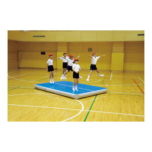 y@lz Goj[ EVERNEW ETE211 GA[gbN}bg300 [J[