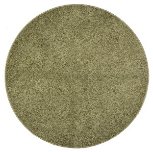  240611916 ^tgO f^g ܂ O[ 160Rcm fUCO J[ybg O }bg   yzszyE㕥ϕszyEkCEzs