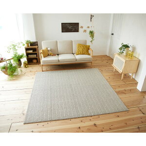 X~mG 􂦂 O OEbh 130×185cm AC{[ [J[