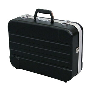 AXe[W GTRBK ACCS ABSXgOP[X BK GT-R