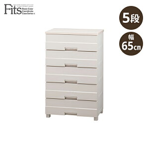 Vn tBbcvX C[W[ 5i `FXg [P[X o vX`bN[ ߗގ[ rO ^X k  65 Jv`[m FE6505 fits [J[