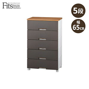 Vn tBbcvX bV 5i `FXg [P[X o vX`bN[ ߗގ[ rO ^X k  65 uE FM6505 BR fits [J[