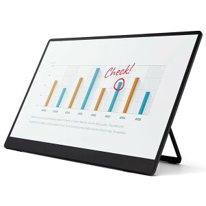 RICOH 514910 [RICOH Portable Monitor 150BW �i�����E�L�����f���j]