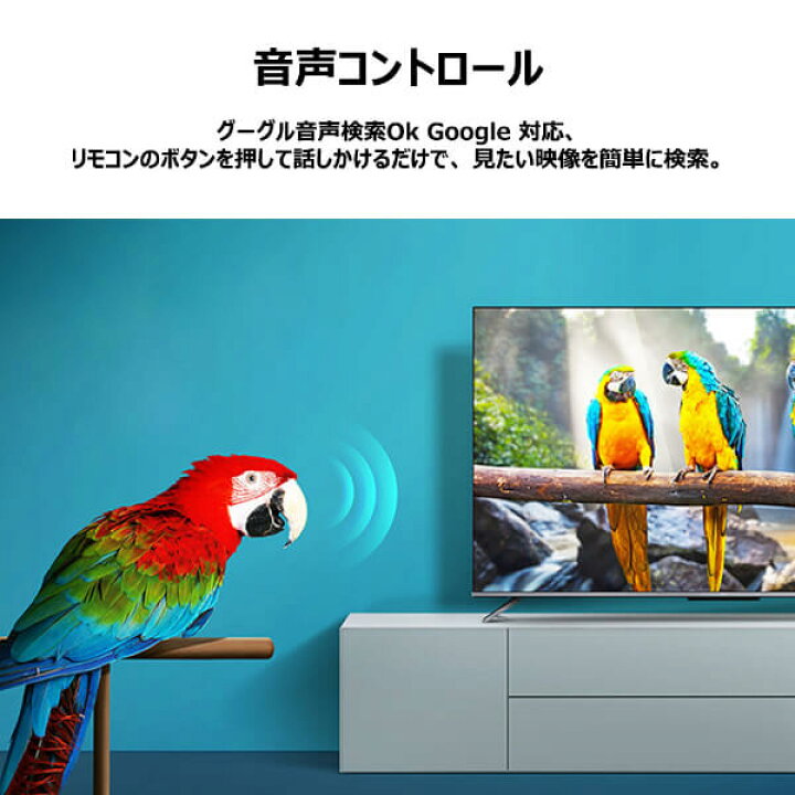楽天市場】【スーパーSALE限定 50%OFF】テレビ 75型 TCL 75インチ 
