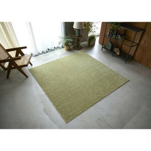 X~mG 13476157 130×190cm GN 􂦂 O t 130×190cm O[ [J[