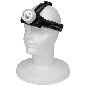 LED�w�b�h���C�g SLH-100BK/WH SK11