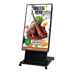 LCD-E498-MP03 NEC 49型美映エル/3840×2160/USB Type-C ミニD-Sub15ピン HDMI RS-232C