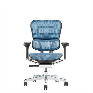 �G���S�q���[�}�� �v��2 ���[�^�C�v ���@�\ �I�t�B�X�`�F�A �u���b�N�t���[��×�u���[���b�V�� Ergohuman PRO2 EHP2-LAM-BF-BL