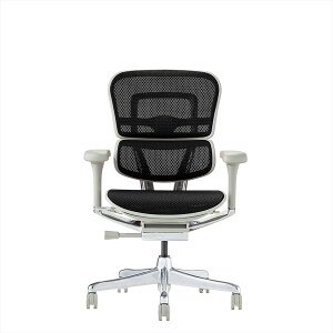 yGg[P5{!2020:00-271:59z GSq[} v2 [^Cv @\ ItBX`FA O[t[×ubNbV Ergohuman PRO2 EHP2-LAM-GF-BK