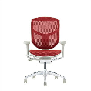 GSq[} GWC2 [^Cv @\ ItBX`FA O[t[×bhbV Ergohuman ENJOY2 EJ2-LAM-GF-RD