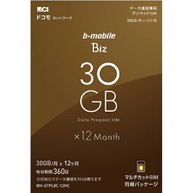 BM-GTPLBC-12MC 日本通信株式会社 b-mobile Biz SIMパッケージ(DC/マルチ)