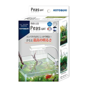 RguLH| ~jLED s[X zCg [J[