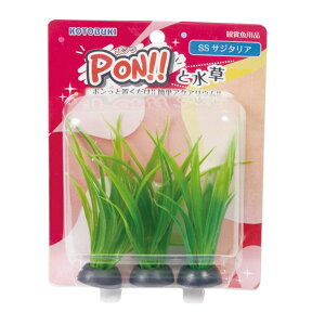 PON-SS TW^A RguLH| [J[