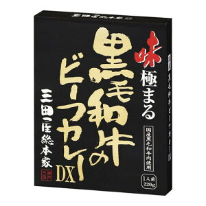 アイキューファームズ 三田屋総本家 黒毛和牛のビーフカレーDX 220g x10 メーカー直送 プレゼント ギフト