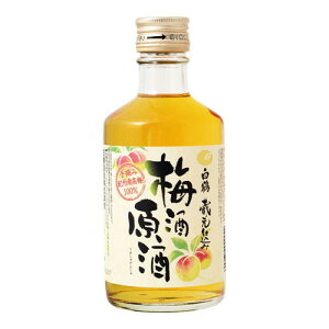 L  ~  300ML [J[ Mtg v[g Ε ~Mtg