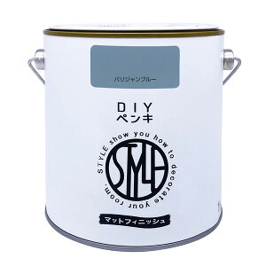 �j�b�y STYLE DIY�y���L�}�b�g�t�B�j�b�V�� �p���W�����u���[ 1kg