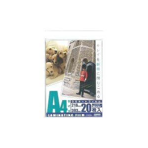 I[d@ LAM-FA4203 [~l[gtB100~N A4 20]