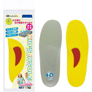 AV} C\[ LbYC\[ 16.0-17.5 CH100S ASHIMARU
