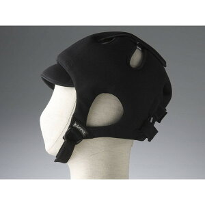 ߗ A{lbgK[hC X^_[hN ubN 2006 ې [J[