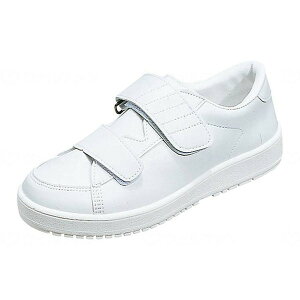 VXebv03 zCgA 26.0 [X^[ [J[