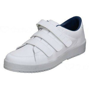 VXebv07 zCg 24.0 [X^[ [J[