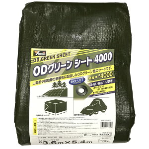 ODO[V[g #4000 vng 3.6m×5.4m ^JCN