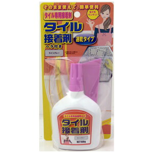 ^Cڒ ^Cv 100g CgO[ ƒ뉻wH