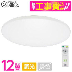 I[d@ LE-Y45DBG-RA2 WݒuHZbg [LEDV[OCg 12p Rt] r[CP300