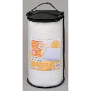 yGg[P10{!2420:00-279:59z PYR-6040 ACXI[} [݂܂ ebNX] [J[