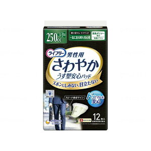 Ct[ ₩jpSpbh 250cc 12 j`[