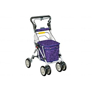 XC[gIII _[Np[v {bAH 668 [J[