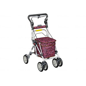 XC[gIII _[NC {bAH 668 [J[