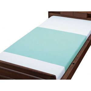 pgRbgpChV[c 2g TbNX EFt@ 009481 [J[