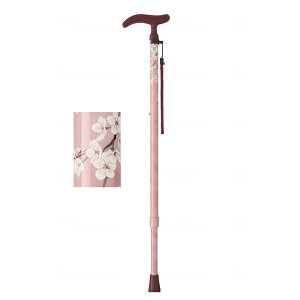 ANeBu O[X LkS sN tWz[ WB3750 [J[