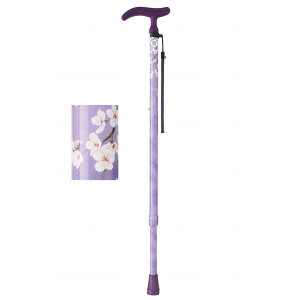 ANeBu O[X LkS p[v tWz[ WB3751 [J[