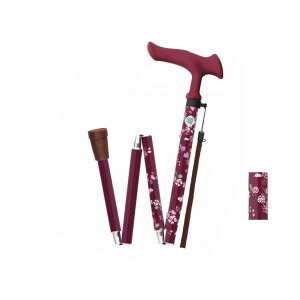 yGg[P10{!2420:00-279:59z 邪t@II ܏ ԃC tWz[ WB5132 [J[