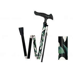 邪t@II ܏ [t tWz[ WB5237 [J[