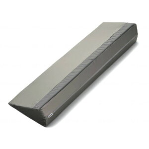 T[eBpbhPRO Ag Vo[ 800 CmAbNrO DSP-800 [J[