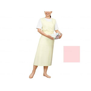 ������G�v���� �Ђ��^�C�v �s���N M ���G���[�� 6013 ���[�J�[����