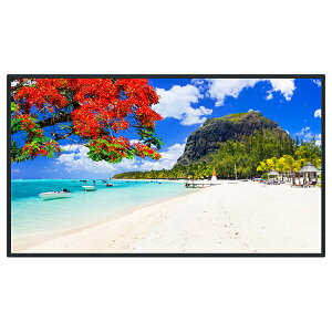 TH-55SQ2HJ PANASONIC �u���b�N SQ2H�V���[�Y [55V�^4K�X�^���_�[�h�t���f�B�X�v���C] ���[�J�[����