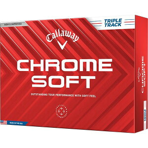 CHROME SOFT(N\tg) {[ 2024Nf gvgbN zCg 1_[X(12) LEFC y{Kiz