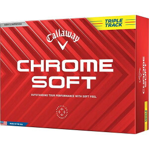 CHROME SOFT(N\tg) {[ 2024Nf gvgbN CG[ 1_[X(12) LEFC y{Kiz