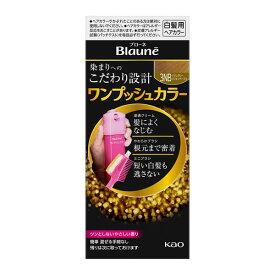 ブローネワンプッシュカラー3NB ナチュラリーSB 80g 花王