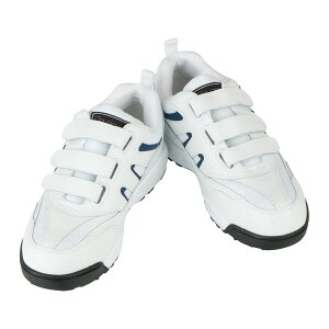 A36000 Z[teB[Xj[J[ zCg 22 R[RX