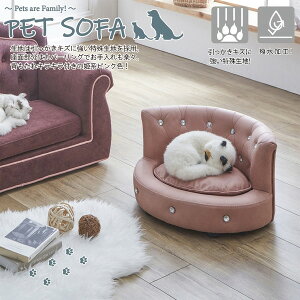 yGg[P5{!2020:00-271:59z PSO-MG-PK-S 㓡ƋY sN Pets are family [ybg\t@]