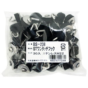 BS-238 ^b`tbN XeX 30{ aCY