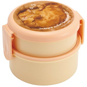 ONWR1AG YƂȂ XP[^[ ی^ `BOX 2i 500ml RۉH