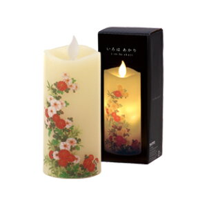 J} ͂ S e LEDLh J}Lh dr[\N Q ފ ~  䋟 ybg AObY